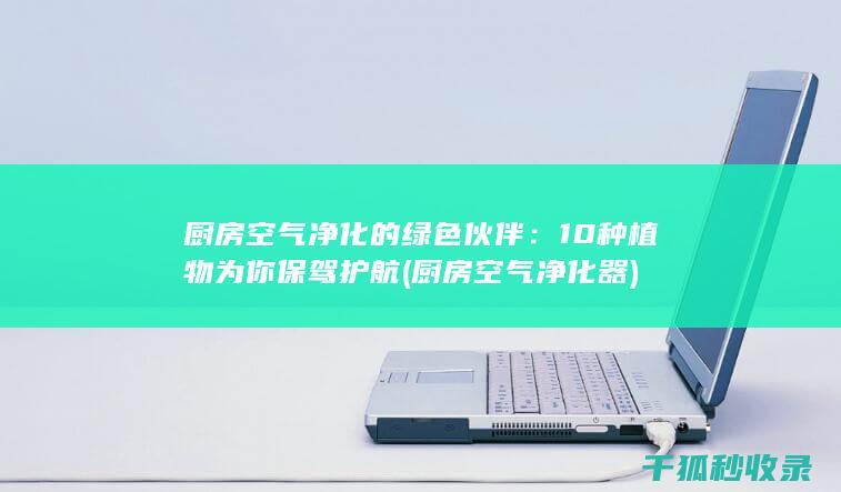 10种植物为你保驾护航