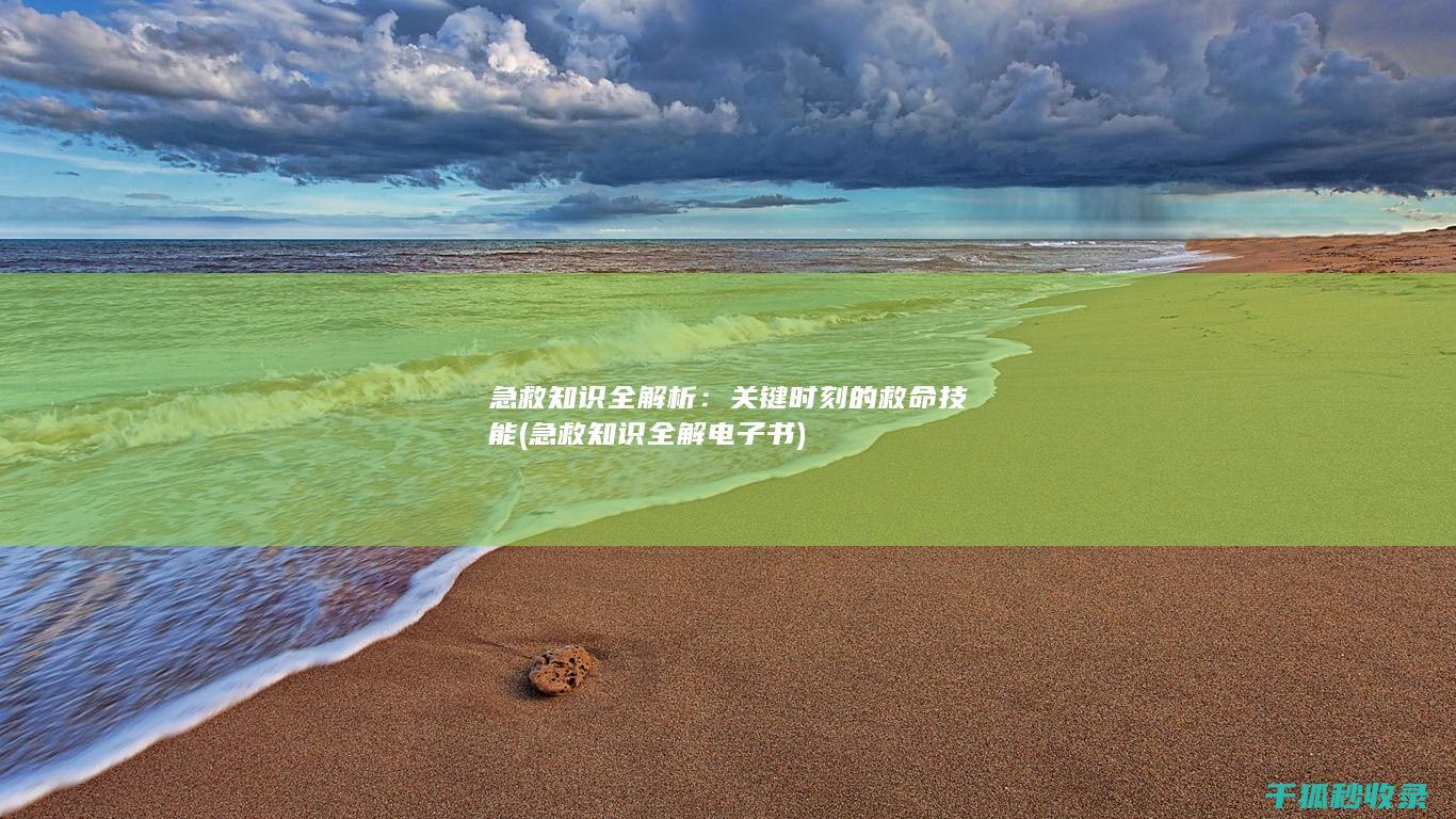 急救知识全解析：关键时刻的救命技能 (急救知识全解电子书)