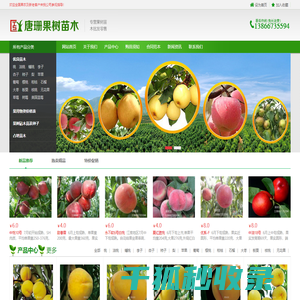 果树苗多个品种